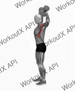 Dumbbell Scott Press exercise demonstration