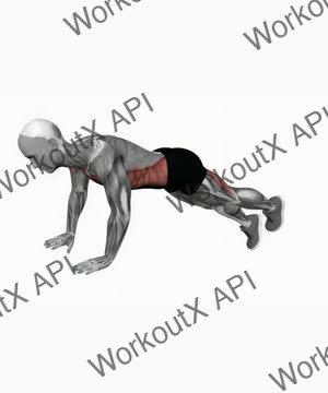 Alternate Single Leg Raises Plank exercise demonstration