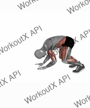 Walkout exercise demonstration