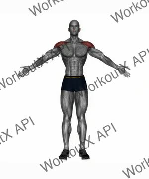 Palm Up Palm Down Rotation exercise demonstration
