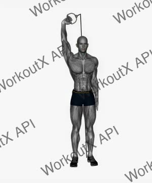 Single Arm Overhead Extension Resistance Band exercise demonstration