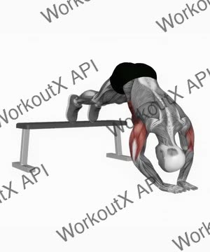 Decline Diamond Pike Push-Up exercise demonstration
