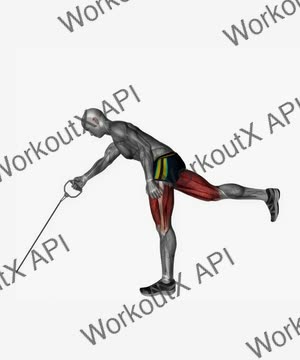 Single Leg Romanian Deadlifts Right Cable Resistance Band exercise demonstration