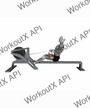 Gym Rowing Machine Sprint Speed exercise demonstration