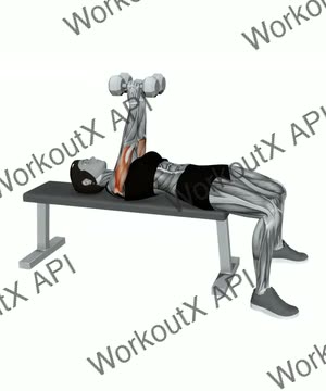 Dumbbell Hex Press exercise demonstration