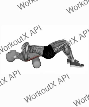 Foam Roller Back exercise demonstration