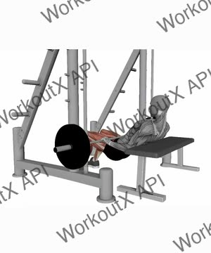 Hip-Thrust in Smith Machine exercise demonstration