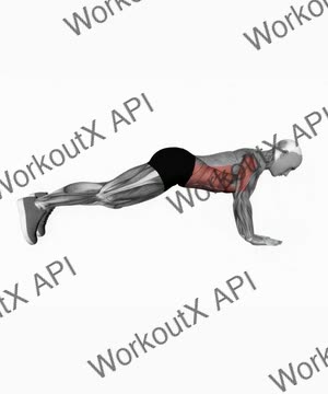 Elbow-Up and Down Dynamic Plank exercise demonstration