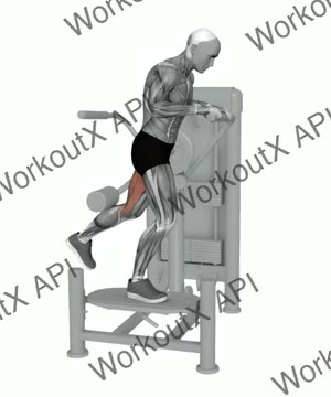 Multi Hip Glute Extension exercise demonstration