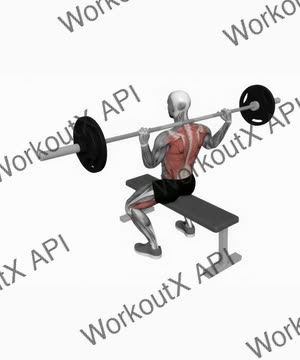 Barbell Seated Good Morning exercise demonstration
