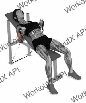 Band Incline Biceps Curl exercise demonstration