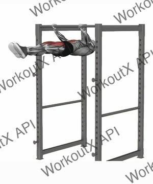 Front Lever Raise to Hold exercise demonstration
