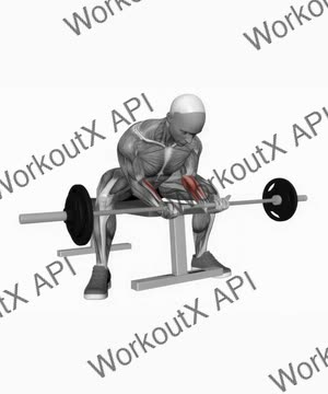 Barbell Wrist Curl Wide Legs exercise demonstration