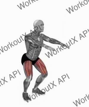 Bodyweight Pulse Squat exercise demonstration