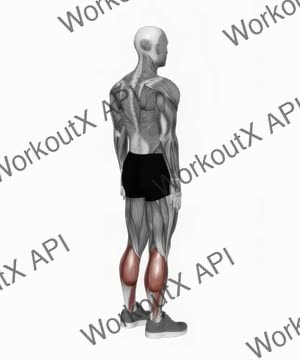 Ankle Plantar Flexion (Variation 2) exercise demonstration