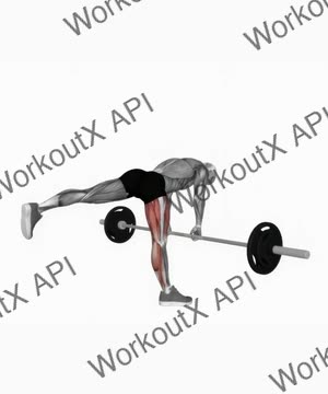 Barbell Single Leg Deadlift exercise demonstration