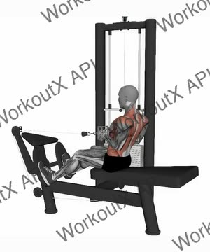 Seated Cable Row v Bar Machine exercise demonstration