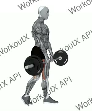 Barbell Staggered Deadlift exercise demonstration