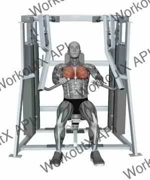 Hammer Strength Mts Iso-Lateral Decline Press Both Arms exercise demonstration