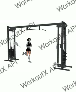 Cable Standing Leg Extension exercise demonstration