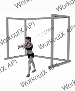 Band Chest Fly exercise demonstration