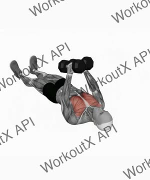 Dumbbell Floor Fly exercise demonstration
