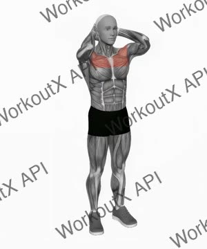 Bodyweight Standing Triangle Fly exercise demonstration
