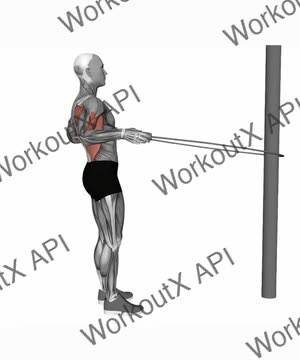 Jump Rope Row exercise demonstration
