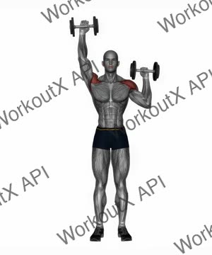 Standing Dumbbell Alternate Shoulder Press exercise demonstration