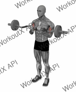 Ez Bar Biceps Curl Close Grip exercise demonstration