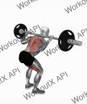 Barbell Good Morning exercise demonstration