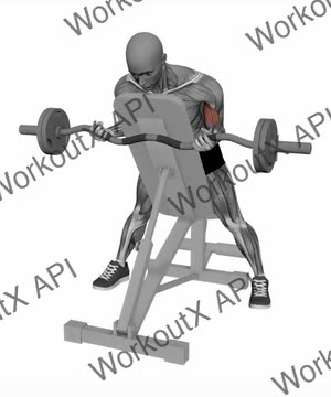 Spider Curl Ez Bar exercise demonstration