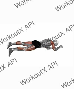 Alternate Arm Leg Plank Rest Pause exercise demonstration