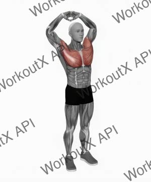 Above Head Chest Stretch exercise demonstration