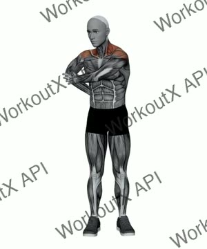 Cross Body Elbow Pull Shoulder Stretch exercise demonstration