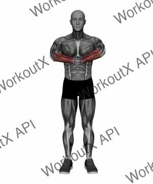 Hands Clapped Forearms Stretch exercise demonstration