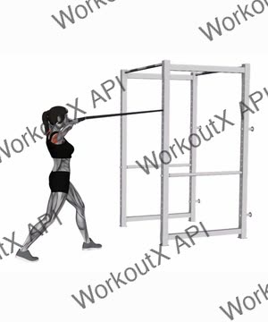 Band Front Face Pull exercise demonstration