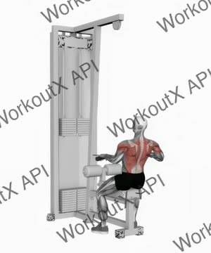 Cable Low Seated Row exercise demonstration