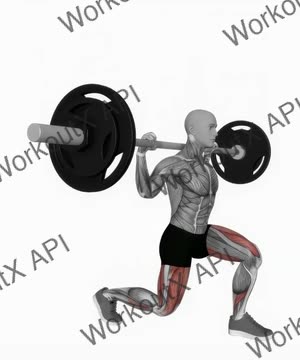 Barbell Split Squat exercise demonstration