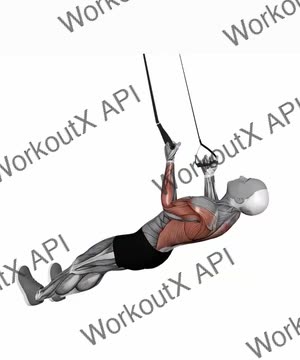 Suspension Trainer With Grips Inverted Row Arm Twist exercise demonstration