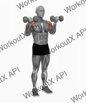 Dumbbell Drag Over Shoulder Bicep Curl exercise demonstration