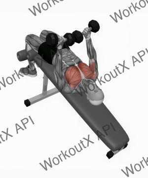 Dumbbell Decline Twist Fly exercise demonstration