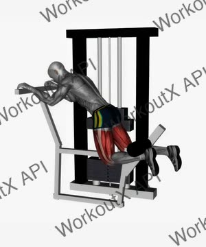 Kneeling Leg Curl Machine exercise demonstration