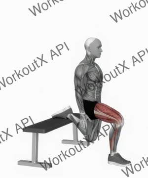 Bulgarian Split Squat exercise demonstration