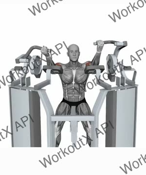 Hammer Strength Mts Iso-Lateral Biceps Curl Arm Alternating exercise demonstration