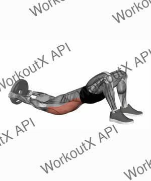 Plate Glute Bridge to Pullover exercise demonstration