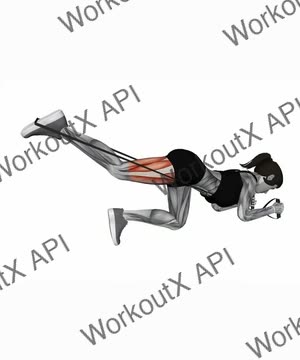 Band Kneeling Rear Kick exercise demonstration
