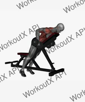 Prone Bench Row Dumbbells Pronated Grip exercise demonstration