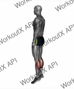 Bodyweight Calf Raises exercise demonstration