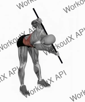 Bent Over Twist exercise demonstration